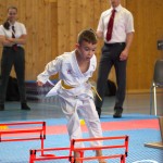 Wiener Karate Meisterschaft 2025