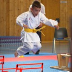 Wiener Karate Meisterschaft 2025