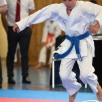 Wiener Karate Meisterschaft 2025