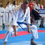 Wiener Karate Meisterschaft 2025