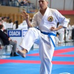 Wiener Karate Meisterschaft 2025