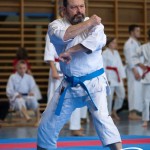Wiener Karate Meisterschaft 2025