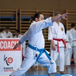 Wiener Karate Meisterschaft 2025