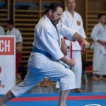 Wiener Karate Meisterschaft 2025