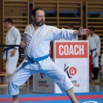 Wiener Karate Meisterschaft 2025
