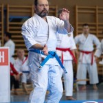 Wiener Karate Meisterschaft 2025