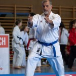 Wiener Karate Meisterschaft 2025