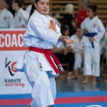Wiener Karate Meisterschaft 2025