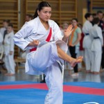 Wiener Karate Meisterschaft 2025