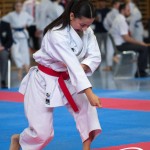 Wiener Karate Meisterschaft 2025