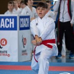 Wiener Karate Meisterschaft 2025