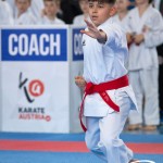 Wiener Karate Meisterschaft 2025