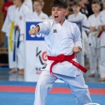 Wiener Karate Meisterschaft 2025