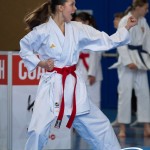 Wiener Karate Meisterschaft 2025