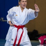 Wiener Karate Meisterschaft 2025