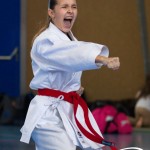 Wiener Karate Meisterschaft 2025