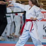 Wiener Karate Meisterschaft 2025