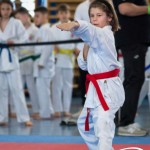 Wiener Karate Meisterschaft 2025