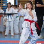 Wiener Karate Meisterschaft 2025