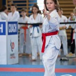 Wiener Karate Meisterschaft 2025