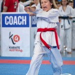Wiener Karate Meisterschaft 2025