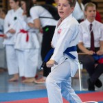 Wiener Karate Meisterschaft 2025