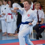 Wiener Karate Meisterschaft 2025
