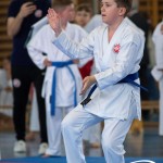 Wiener Karate Meisterschaft 2025