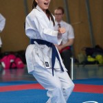 Wiener Karate Meisterschaft 2025
