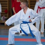 Wiener Karate Meisterschaft 2025