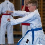 Wiener Karate Meisterschaft 2025
