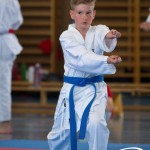Wiener Karate Meisterschaft 2025