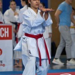 Wiener Karate Meisterschaft 2025