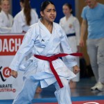 Wiener Karate Meisterschaft 2025