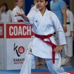 Wiener Karate Meisterschaft 2025