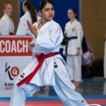 Wiener Karate Meisterschaft 2025