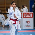 Wiener Karate Meisterschaft 2025