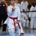 Wiener Karate Meisterschaft 2025
