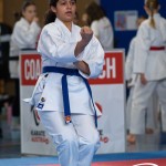 Wiener Karate Meisterschaft 2025