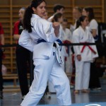 Wiener Karate Meisterschaft 2025