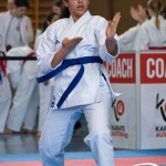 Wiener Karate Meisterschaft 2025