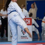 Wiener Karate Meisterschaft 2025