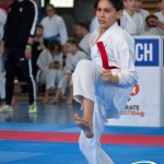 Wiener Karate Meisterschaft 2025