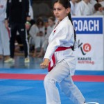 Wiener Karate Meisterschaft 2025