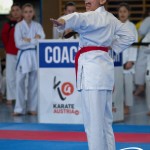Wiener Karate Meisterschaft 2025