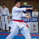 Wiener Karate Meisterschaft 2025