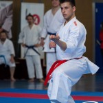Wiener Karate Meisterschaft 2025