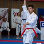 Wiener Karate Meisterschaft 2025