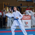 Wiener Karate Meisterschaft 2025