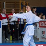 Wiener Karate Meisterschaft 2025